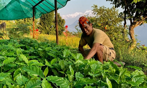 Organic Agriculture Volunteer in Nepal
